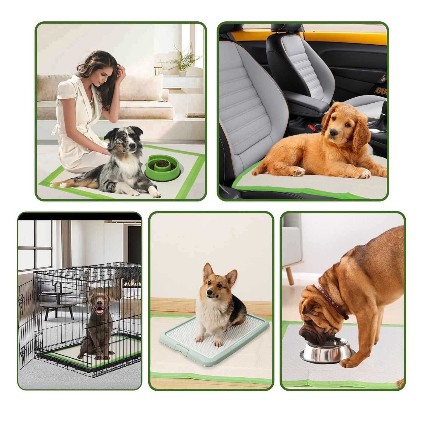 Gardner Pet Dog Pee Pads Extra Large 28"x34", XL Thicker ECO Green Disposable XLarge Puppy Training Pads Super Absorbent Full Edge-Wrapping Pad for Dogs, Puppies, Doggie, Cats, Rabbits-(30 Count)