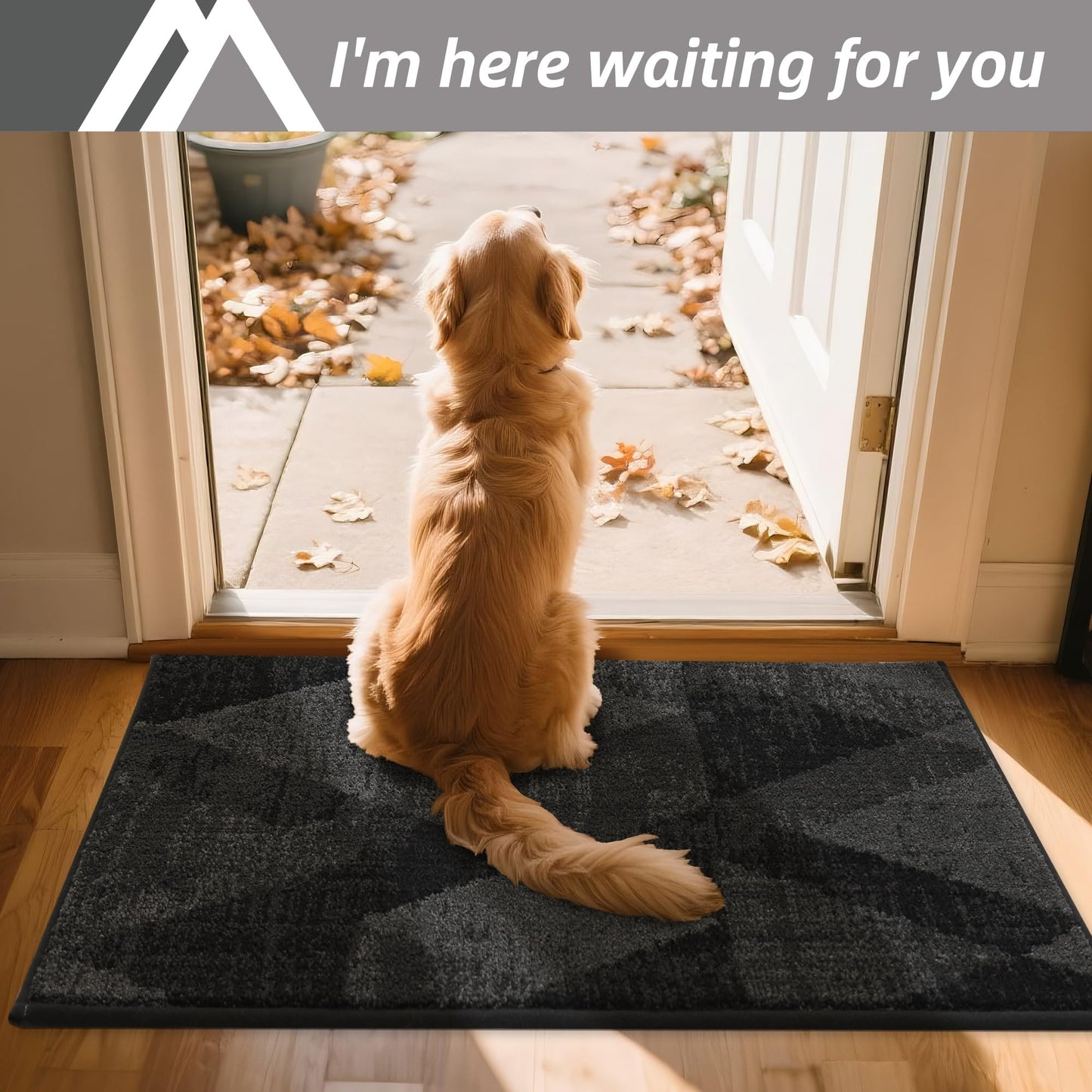 COSY HOMEER Entryway Rugs Doormat 24"x36", Non-Slip Absorbent Polyester, Washable Rugs for Front Door, Dirty Paws & High Traffic Areas, Dark Gray