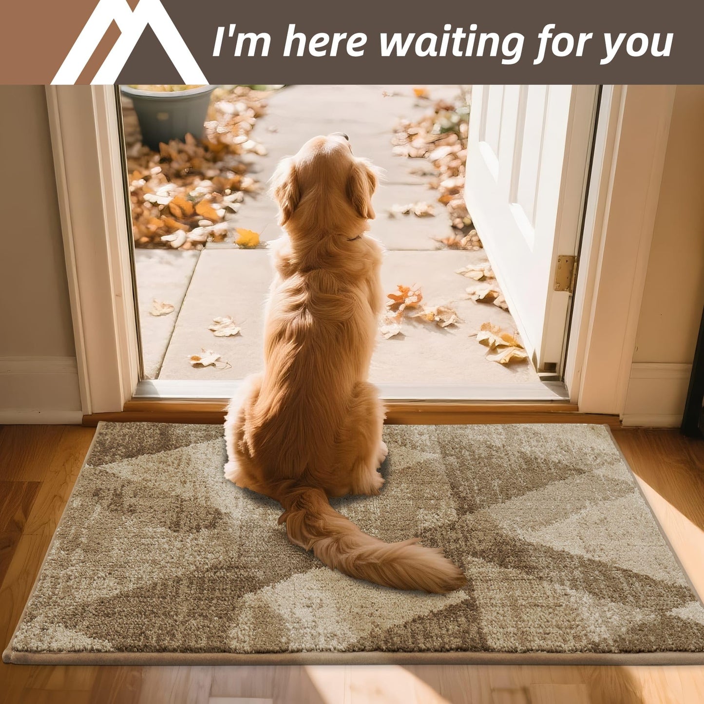 COSY HOMEER Entryway Rugs Doormat 20"x32", Non-Slip Absorbent Polyester, Washable Rugs for Front Door, Dirty Paws & High Traffic Areas, Beige