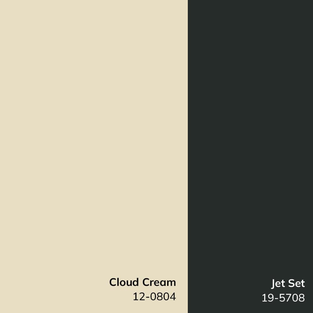 Livabliss x Galey Alix Architect I Modern Geometric Area Rug, 7'10" x 10' (8' x 10'), Ivory/Black