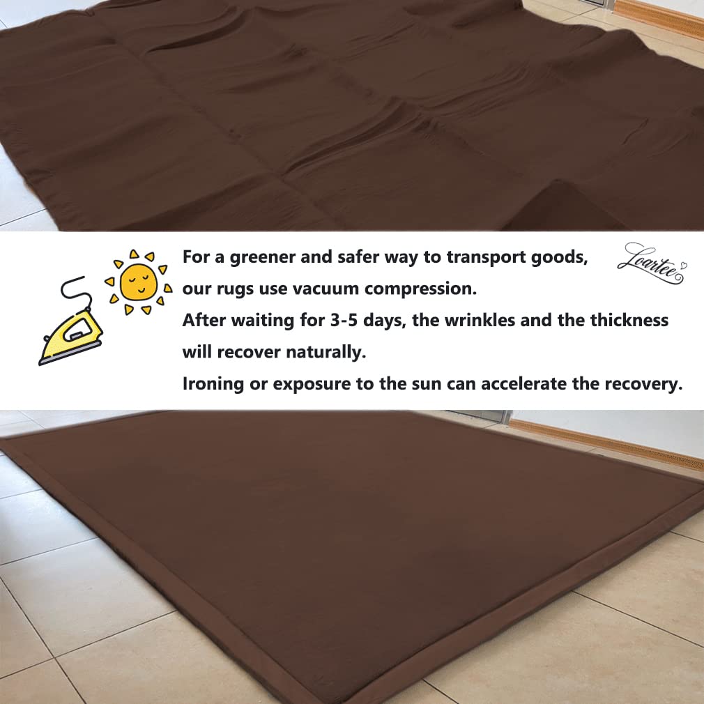 Loartee Thick Coral Velvet Rug - Area Rugs(4'11"x4'11", Coffee) for Play Mat Yoga Mat Exercise Pads Carpet