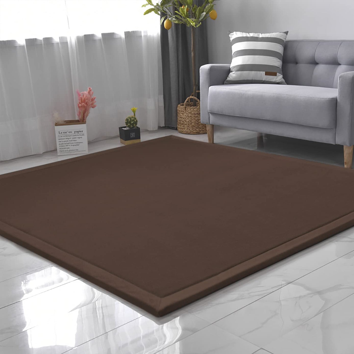 Loartee Thick Coral Velvet Rug - Area Rugs(4'11"x4'11", Coffee) for Play Mat Yoga Mat Exercise Pads Carpet
