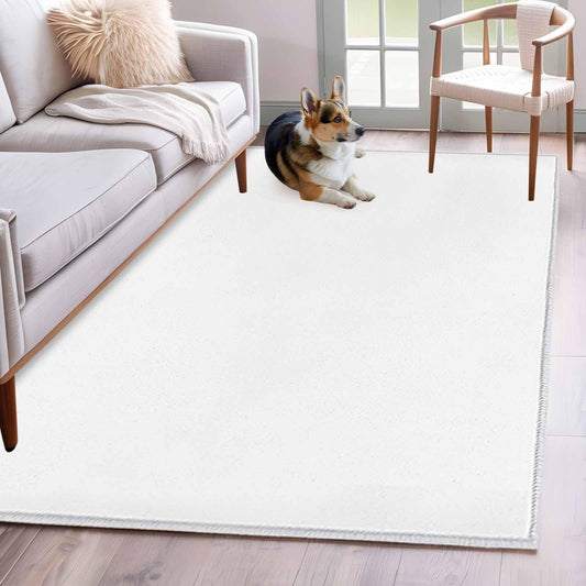 White 3x5 Area Rugs for Living Room, Farmhouse Solid White Color Non Slip Washable Rug Runner, Modern Art Low Pile Indoor Floor Carpet Mat Bathroom Rugs for Bedroom, Kids Room, Outdoor