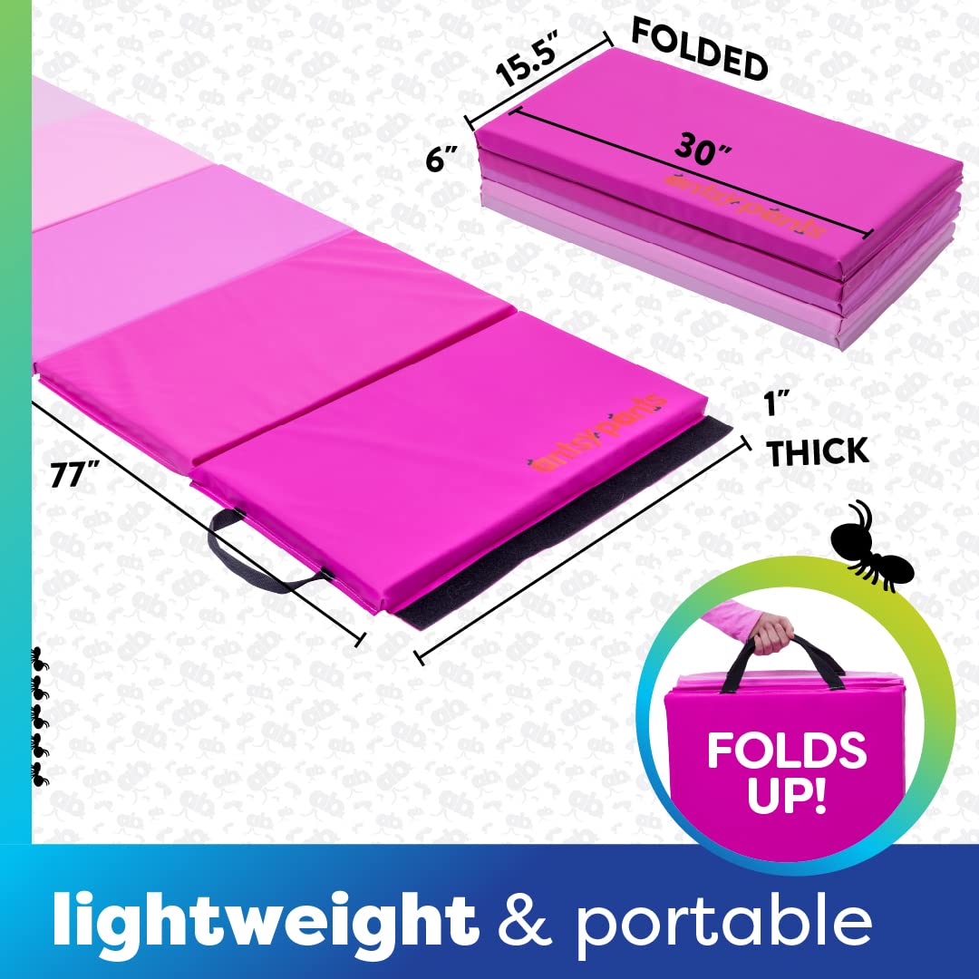Antsy Pants Tumbling Mat for Kids – 5-Fold Gymnastics Mat, Easy to Clean, Sturdy, Foldable Tumbling Mats, Padded, Lightweight, Portable, Gymnastics Equipment for Active Play