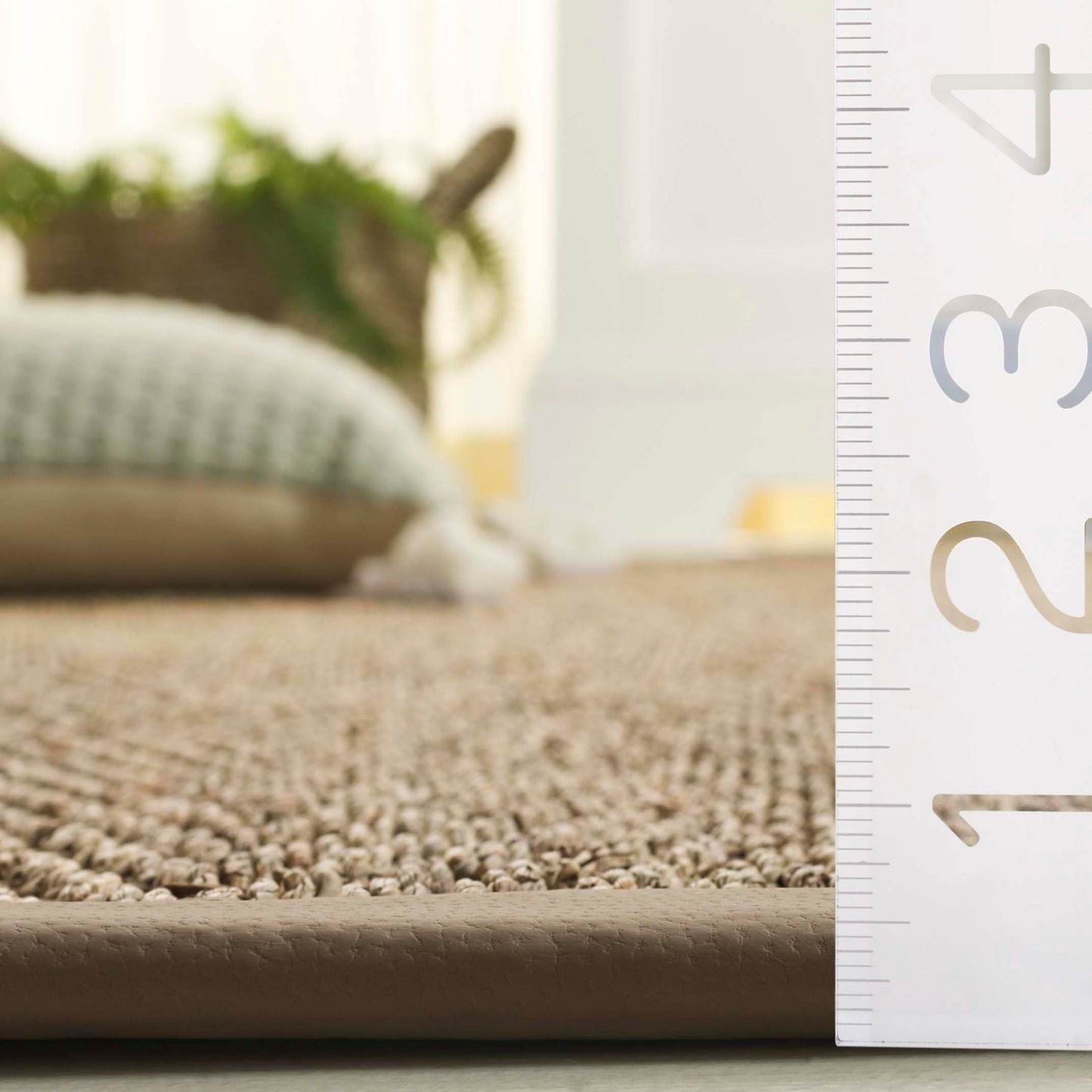 SAFAVIEH Area Rug 4x6 - Natural Fiber Collection - Natural & Beige, Seagrass, Ideal for Living Room, Bedroom, Dining Space (NF119B)