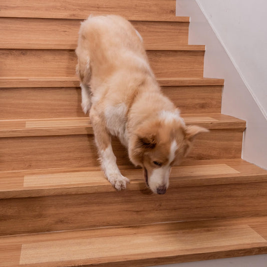 Spurtar Non Slip Staircase Step Treads, 6"x24" 15 Pack Anti Slip Tape for Stairs Indoor, Transparent Grip Tape for Stairs, Clear Skid Guard Safety Stair Runners for Wooden Steps