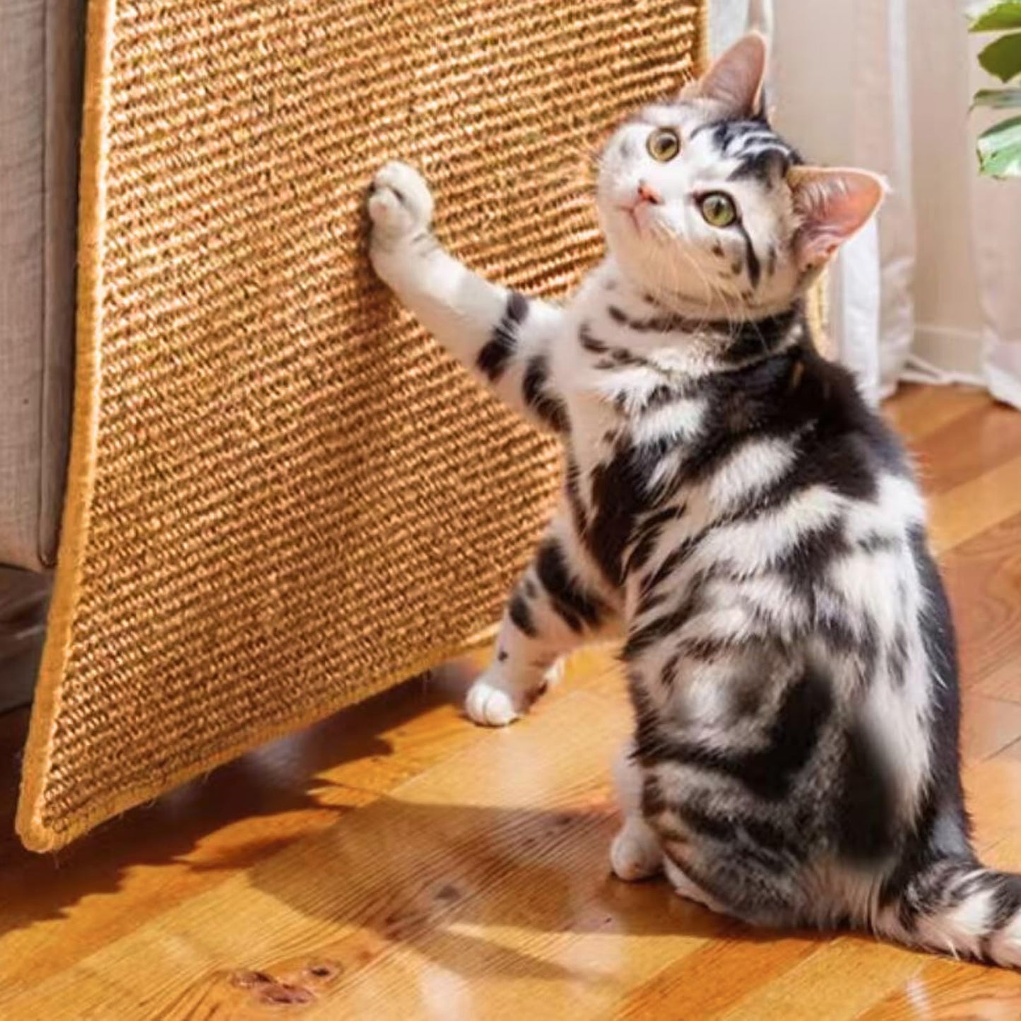 Cat Scratch Pad, Sisal Scratcher Mat Rug, 23.6x15.7in, Furniture Protector