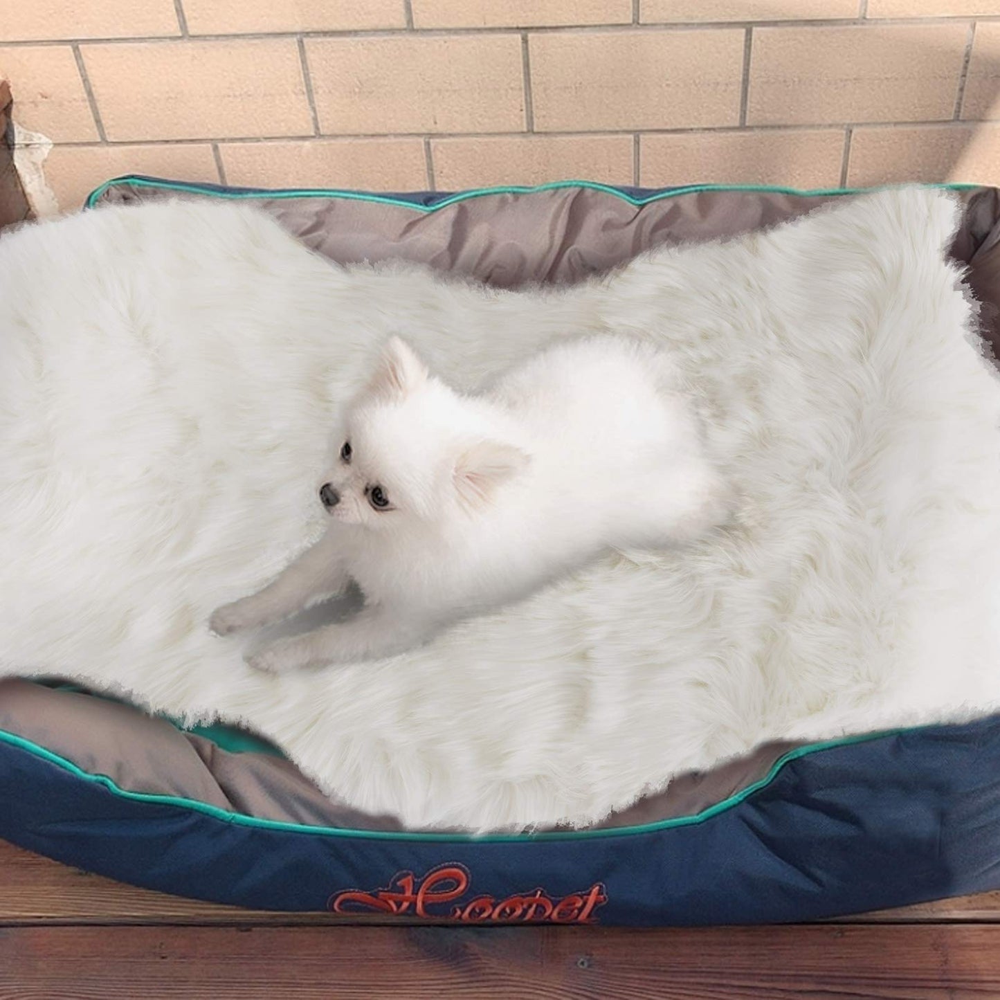 Asrug Soft Faux Fur Pet Bed Mat Plush and Fluffy Pet Pad Ultra Cozy Pet Throw Rug for Dogs Cats, White, 24 by 36 inches