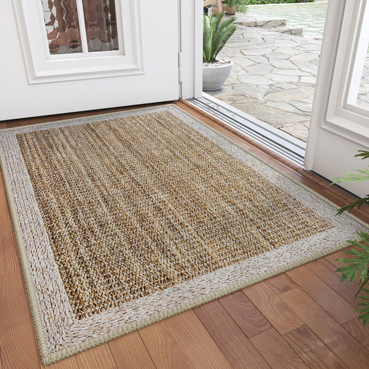QiCaiJia Front Door Mat 2x3, Non-Slip Indoor Mat Entrance, Washable Doormat for Front Indoor Entryway, Soft Low Pile Entryway Rug