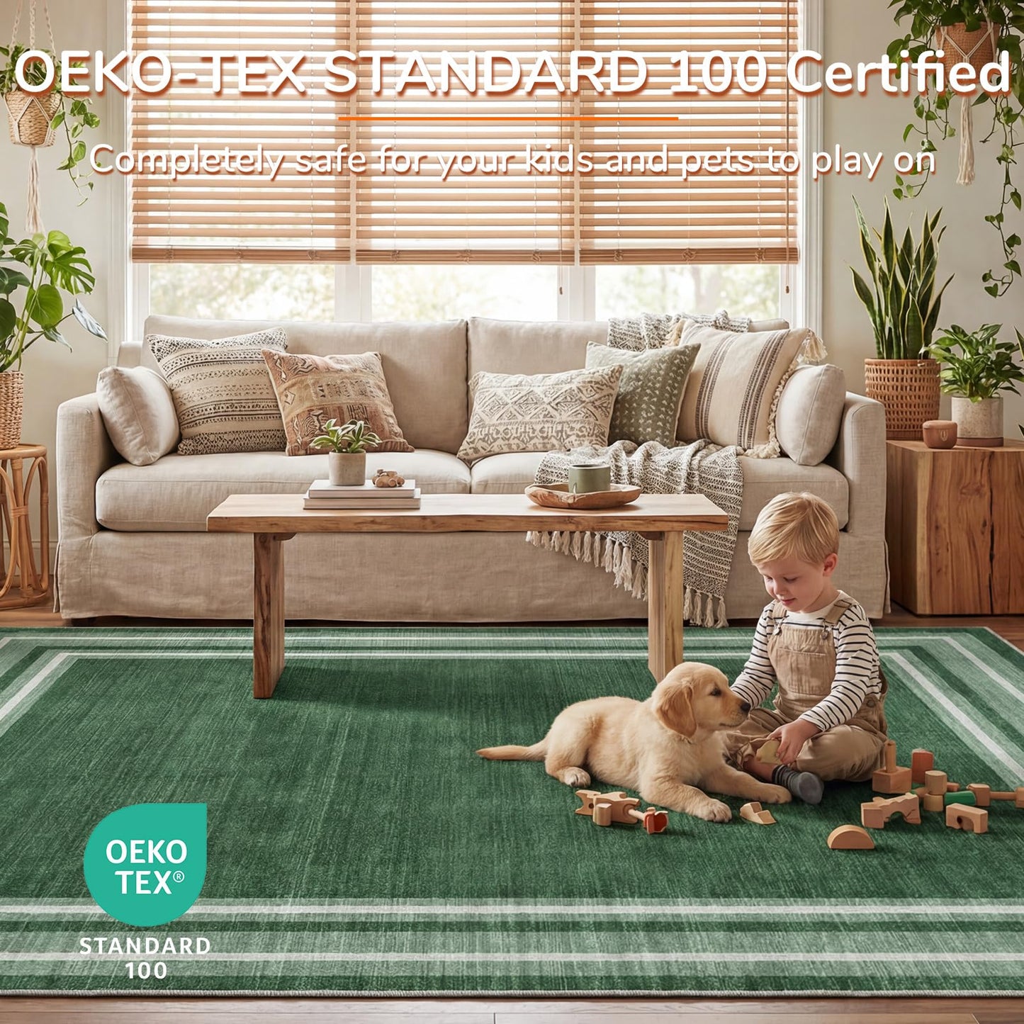OPPODREAM Border Soft Area Rugs 5x7, Washable Green Rug with Non Slip Backing, 5 x 7 Faux Cashmere Low-Pile 5x7 Carpet