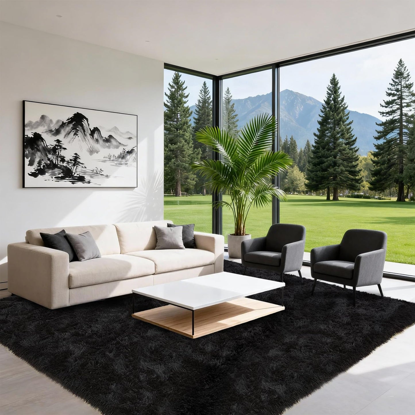 Large Shag Area Rugs 5x7 for Living Room, Ultra Soft Fluffy Black Rugs for Bedroom, Shaggy Living Room Rug, Plush Fuzzy Bedside Rug, Floor Carpets for Kids Dorms Room Home Decor, Upgrade Anti-Skid