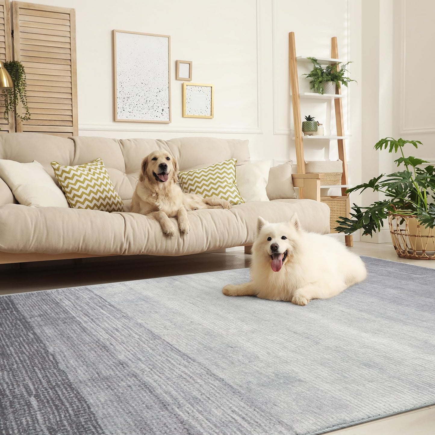 Wonnitar Modern Ombre 6x9 Grey Area Rugs for Bedroom, Washable Large Living Room Rug, Non-Slip Soft Contemporary Stain Resistant Accent Carpet for Dining Room Guest Room (Grey, 6'x9')