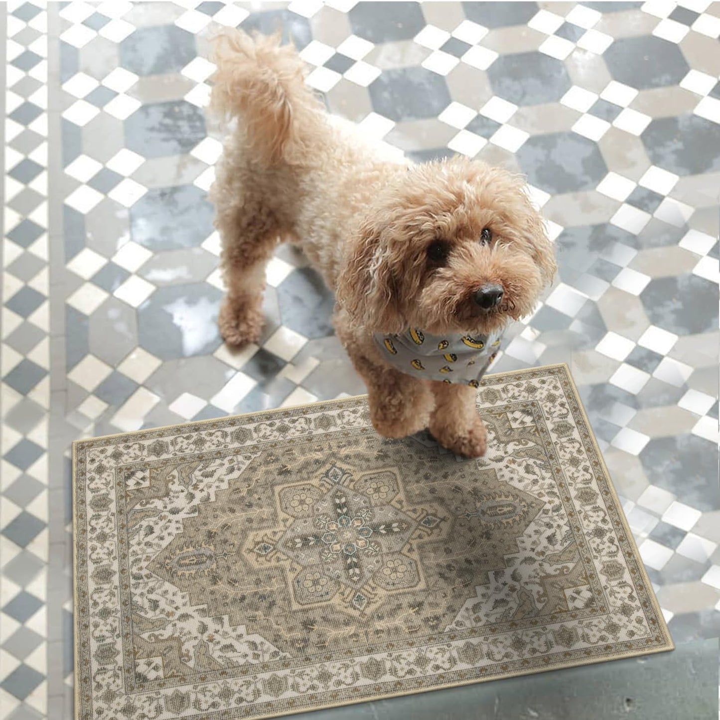 Collive Washable Indoor Door Mat, Non Slip Retro Entryway Rug 24" x 36" Doormat Low-Pile Entrance Rug Distressed Front Door Mat, Welcome Mats Floor Mat Doormats for Kitchen Bathroom Home