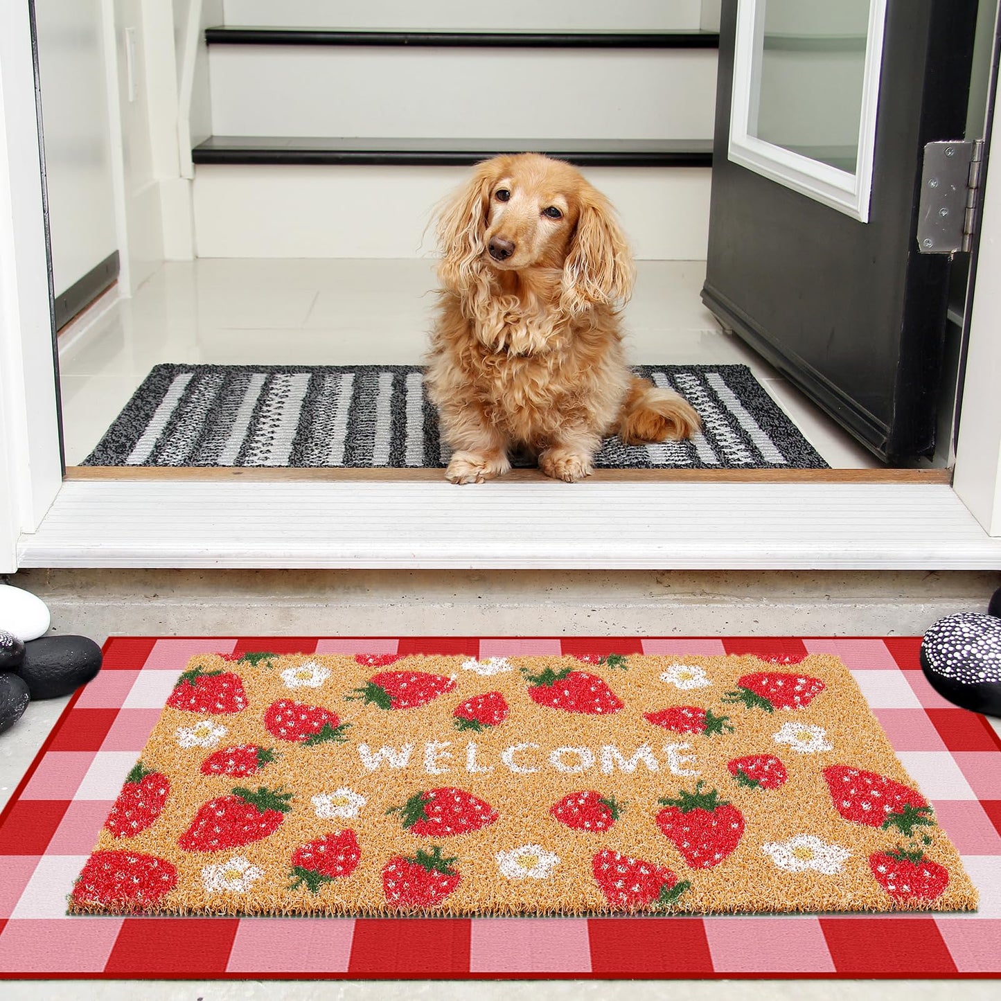 Whaline 2 Pcs Strawberry Daisy Doormat Set Floor Mat Red Pink Checkered Fruit Coir Non-Slip Front Door Rug for Spring Summer Outdoor Home Kitchen Bathroom Entrance Porch