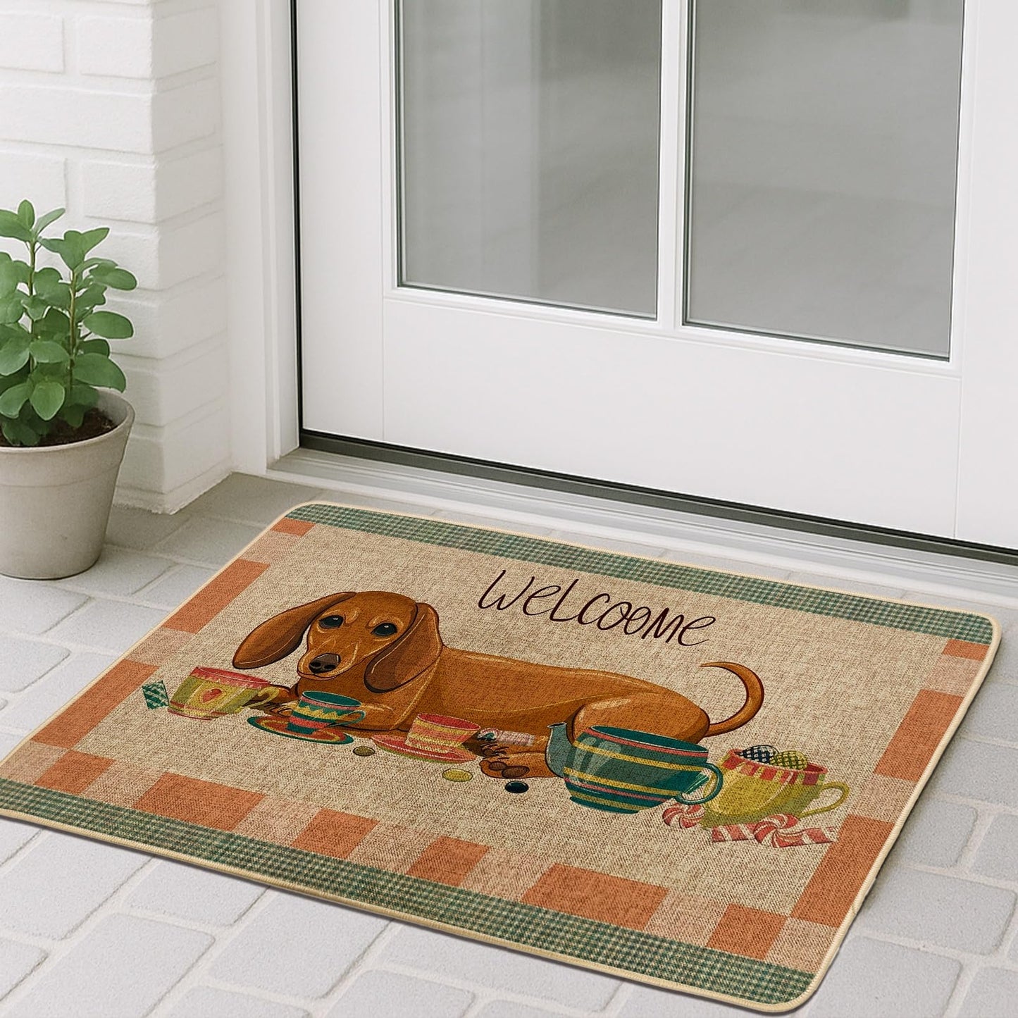 Greenhouse Cat Area Rug Soft Extra Thick Washable Anti Slip Patio Farmhouse Kitchen Foyer Entry Carpet
