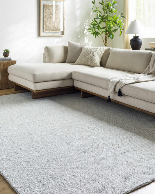 Hauteloom Zircon Recycled Material Living Room, Bedroom Area Rug - Solid Plain Textured - Traditional Transitional Modern Minimalist Contemporary - Silver Gray, Dove Gray, Frost, Gray, Light - 2' x 3'