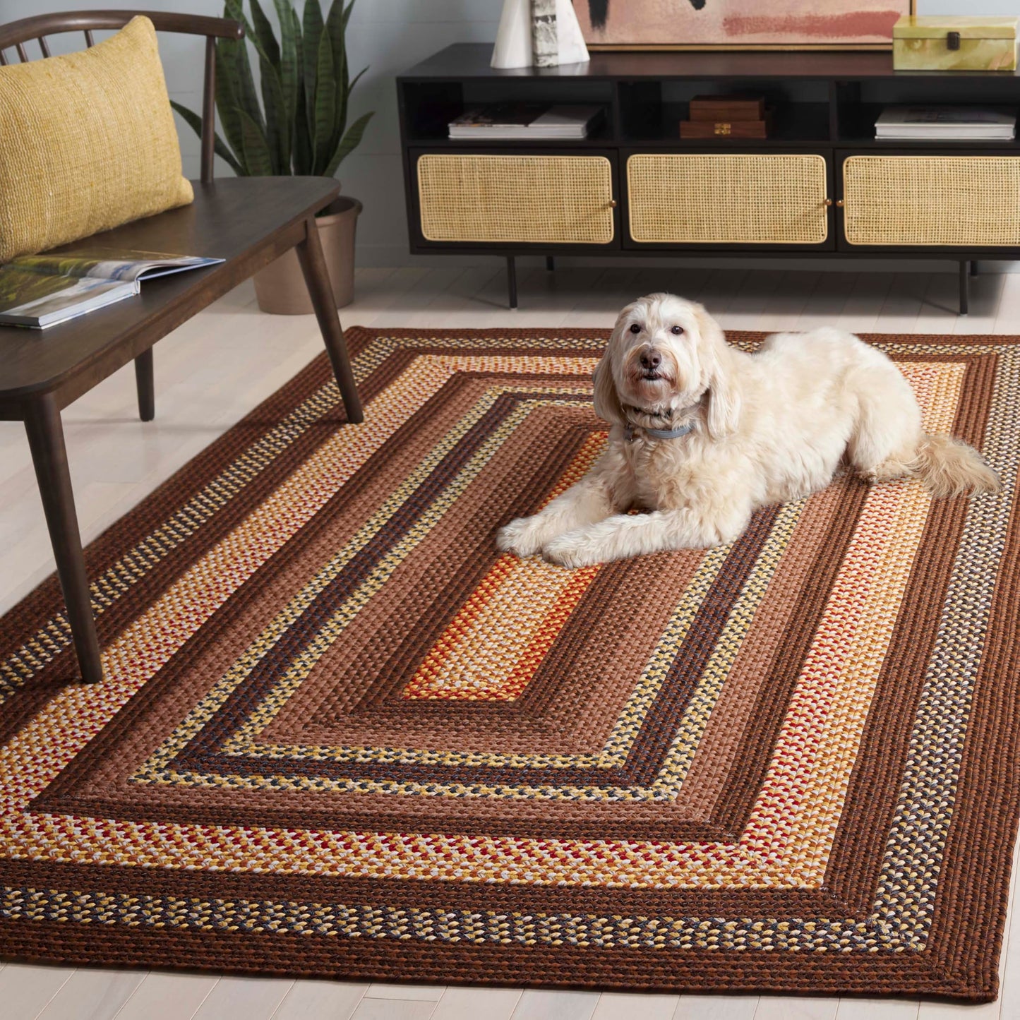 SAFAVIEH Braided Indoor/Outdoor Area Rug 5x8, Brown & Light Brown BRD313T