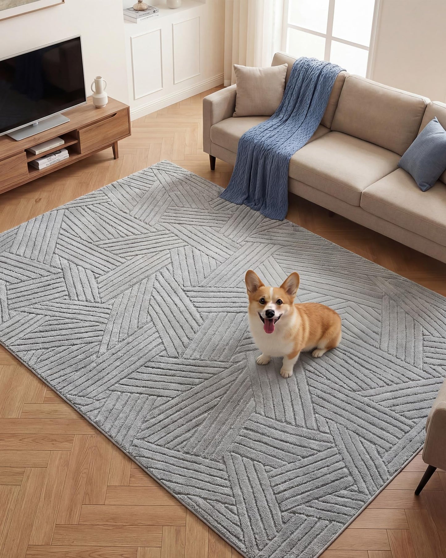 Carvapet 6x9 Area Rug - Grey Modern 3D High Low Pile Texture Floor Carpet, Luxurious Knitted Swirl Pattern Washable Soft Plush Rug with Skid-Resistant Backing for Living Room Dining Room