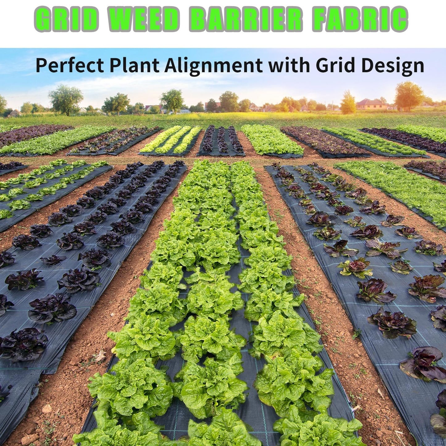Premium Weed Barrier Landscape Fabric, High Permeability Good, Heavy Duty, for Greenhouse Floors, Garden Rows, Raised Beds, Grass and Yard and Outdoor Landscape Protection, 0.6x20m/2x66ft