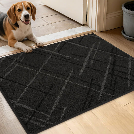 BEQHAUSE Door Mat 20" x 32", Non Slip Entryway Rugs Washable, Dirt Trapper Front Door Mat,Low Profile Absorbent Floor Mats for Front Back Door and Entryway, Dark Grey