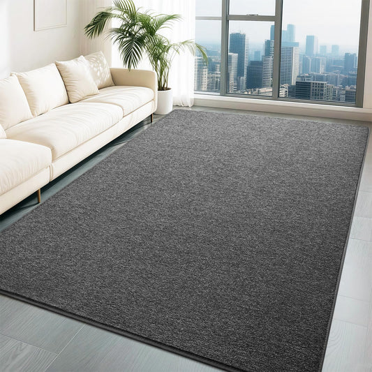 HQAYW 4x6 Area Rugs for Living Room, Washable Memory Foam Soft Modern Rug, Indoor Low Pile Minimalist Non Slip Carpets for Kids Girls Bedroom Nursery Dorm Home Decor, Dark Grey