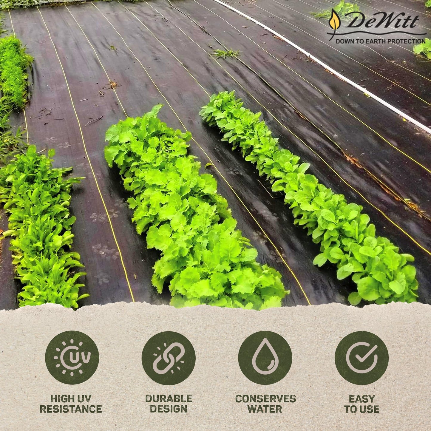 Dewitt Sunbelt Weed Barrier Fabric 3.2 oz, 6 x 300 Feet – Heavy-Duty Ground Cover Mat for Greenhouse Floors, Garden Rows, Raised Beds, Yard Gardening, and Outdoor Landscape Protection