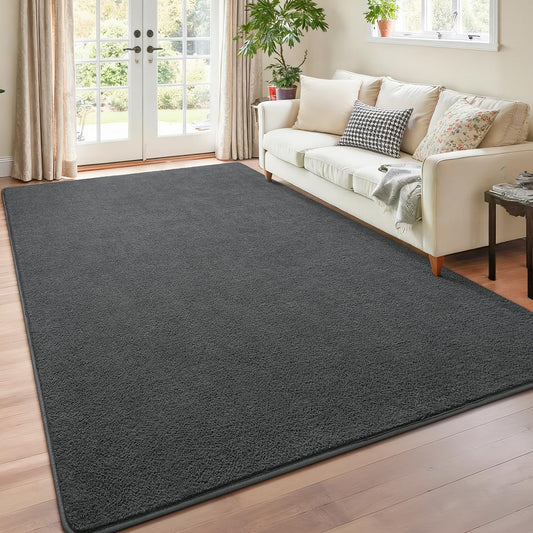 Chicrug 3x5 Minimalist Washable Area Rugs for Bedroom Living Room Classroom, Modern Soft Memory Foam Rug for Kids Nursery, Low Plie Indoor Carpet for Dorm Dinning Office Bedside Room Decor, Dark Grey