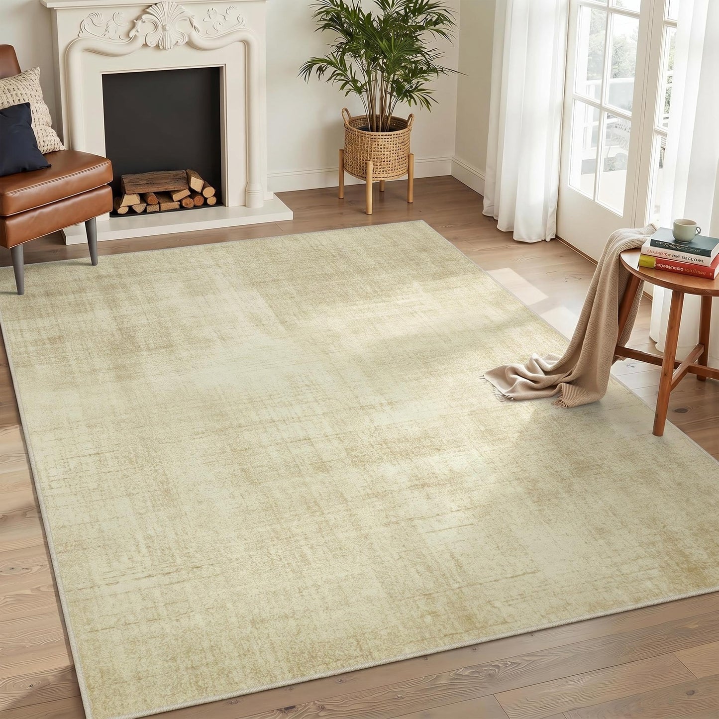 Joydeco 4x6 Area Rugs Classic for Living Room, Beige