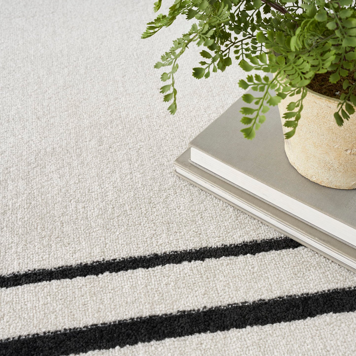Nourison Home Nourison Essentials Ivory/Black 6' x 9' Area Rug - Easy Clean, Non Shedding, Bed Room, Living Room, Dining Room, Kitchen (6' x 9')