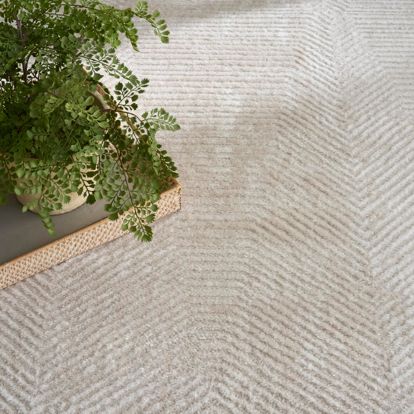 Nourison Home Dekor Ivory Beige 5'3" x 7' Area Rug - Easy Clean, Non Shedding, Bed Room, Living Room, Dining Room, Kitchen (5' x 7')