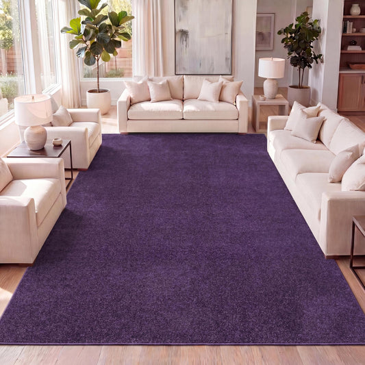 JONATHAN Y Haze Solid Low-Pile Purple Indoor Area Rug 3x5, Coastal,Bohemian,Minimalist,Classic, Easy-Cleaning for Living Room,Bedroom,Kitchen,Pet Friendly,Non-Shedding (SEU100N-3)