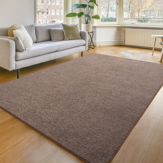 Amearea Modern Soft Area Rug, Chic Color Washable Rugs for Living Room, Home Decor Fluffy Carpet, Cute Accent Kids Rugs for for Bedroom Nursery Dorm Indoor Room Decor, Brown White, 4x6 Feet