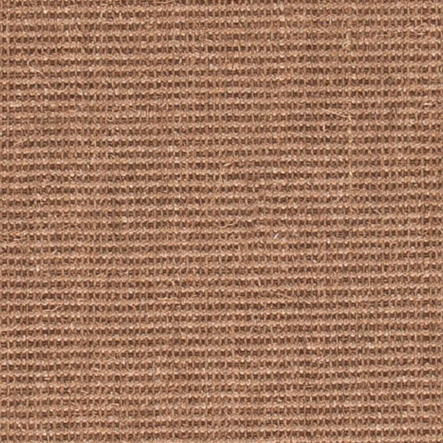 SAFAVIEH Natural Fiber Collection Accent Rug - 4' x 6', Brown & Brown, Border Sisal Design, Easy Care, Ideal for High Traffic Areas in Entryway, Living Room, Bedroom (NF441C)