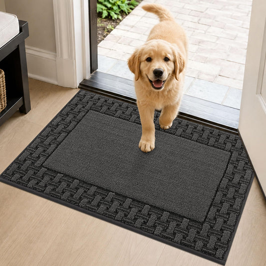FLOORHUG Door Mat 20 x 32 in, Non Slip Washable Entryway Rugs with TPR Backing, Absorbent Dirt Trapping Low Profile Front Door Mat for Shoes and Dog Paws, Dark Grey
