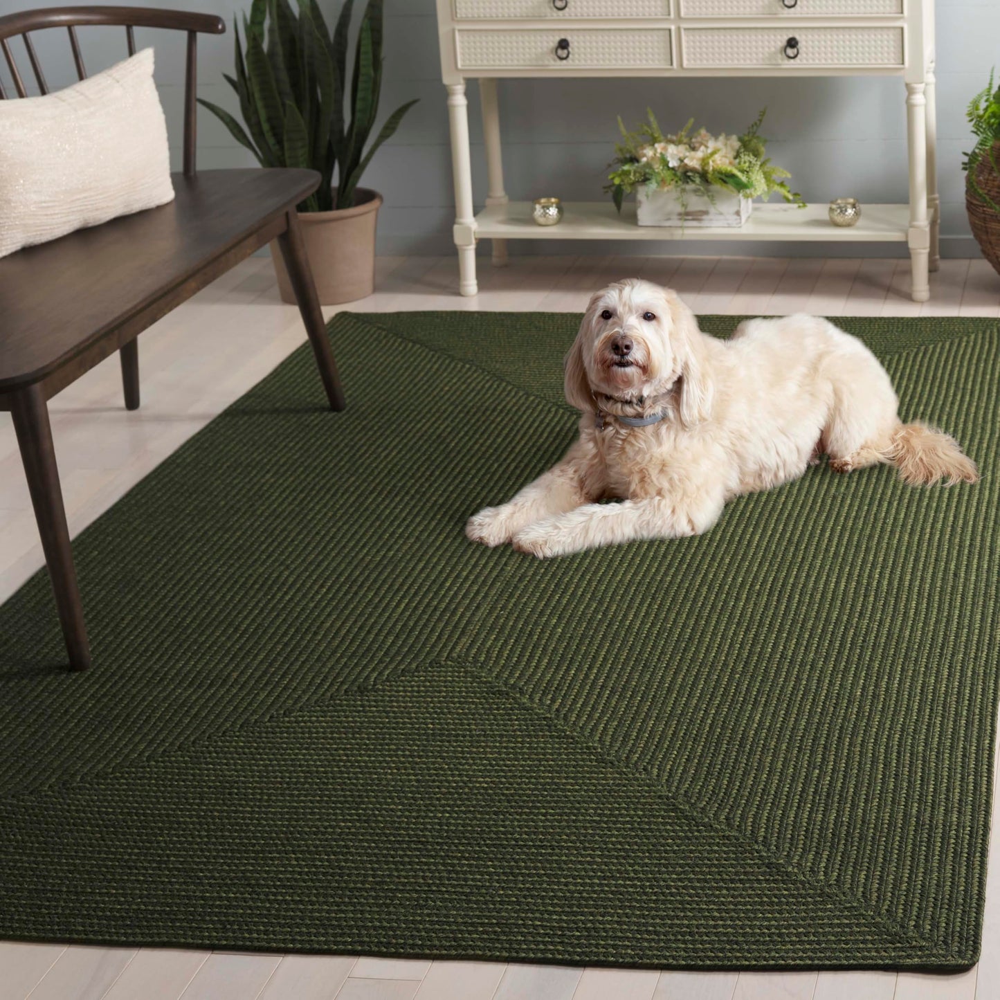 SAFAVIEH Braided Indoor/Outdoor Washable Accent Rug 3x5, Green BRD315A