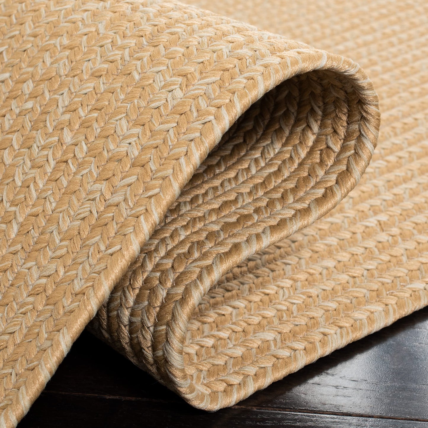 SAFAVIEH Braided Indoor/Outdoor Accent Rug 2x3, Beige & Tan BRD315D