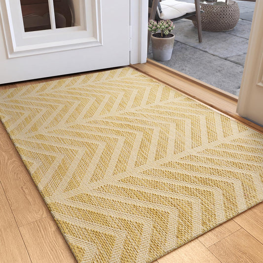 QiCaiJia Washable Entryway Rug 2x3 - Non Slip Small Door Mat Indoor Entrance - Low Profile Front Door Mats for Inside House - Boho Woven Foyer Rug - Absorbent Mud Mat for Entryway,Mudroom(2'x3',Brown)