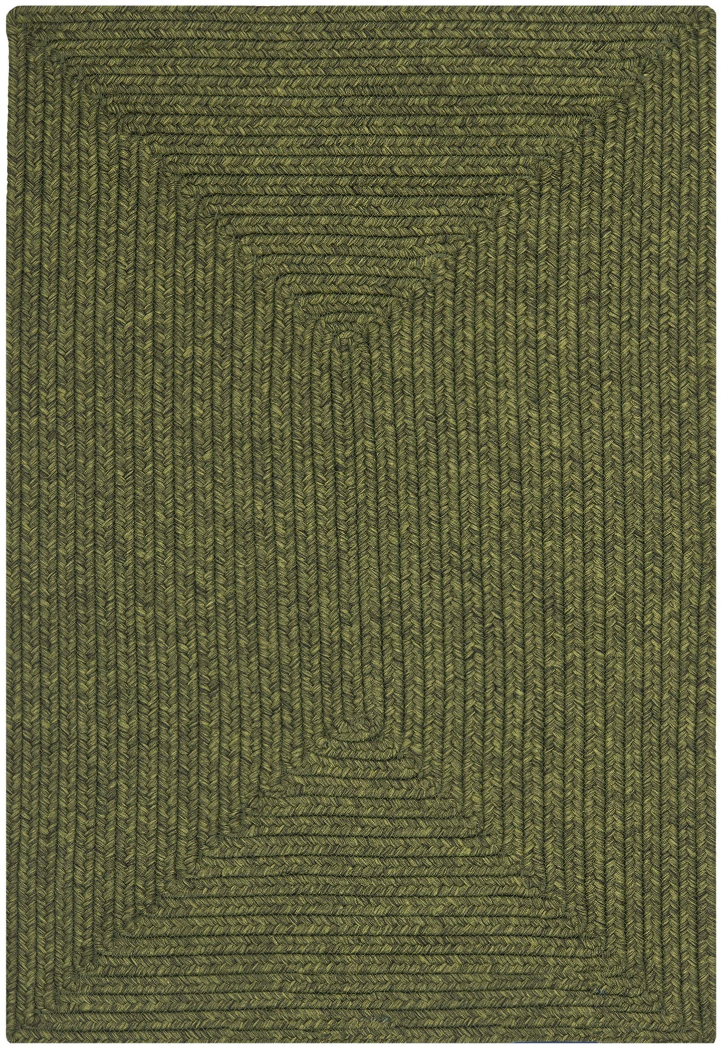 SAFAVIEH Braided Indoor/Outdoor Washable Accent Rug 2x3, Green BRD315A