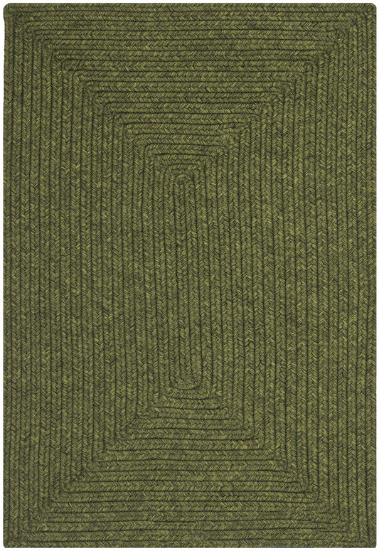 SAFAVIEH Braided Indoor/Outdoor Washable Accent Rug 2x3, Green BRD315A