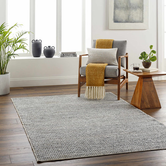 Hauteloom Kala Recycled Material Living Room, Bedroom Area Rug - Contemporary - Light Gray, Cloud Gray, Dark Gray - 2' x 3'