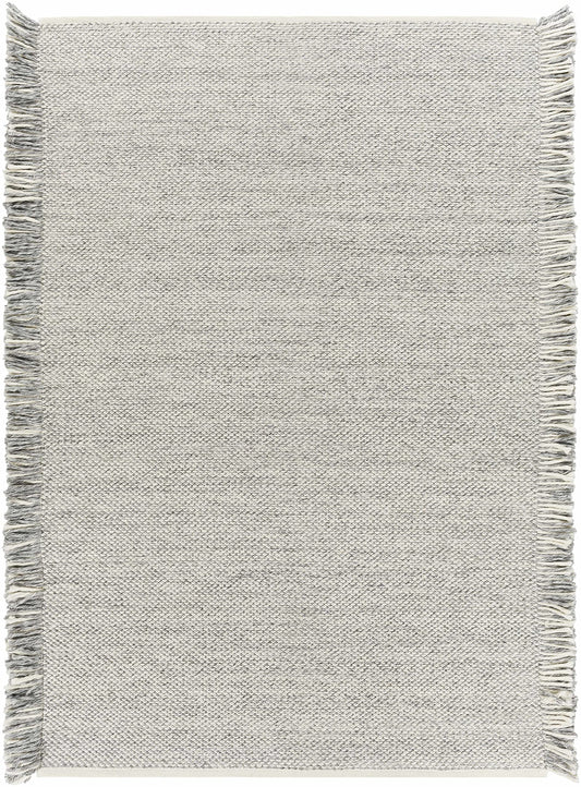 Hauteloom Stenhousemuir Recycled Material Living Room, Bedroom Area Rug - Contemporary - Light Slate, Medium Gray, Black - 2' x 3'