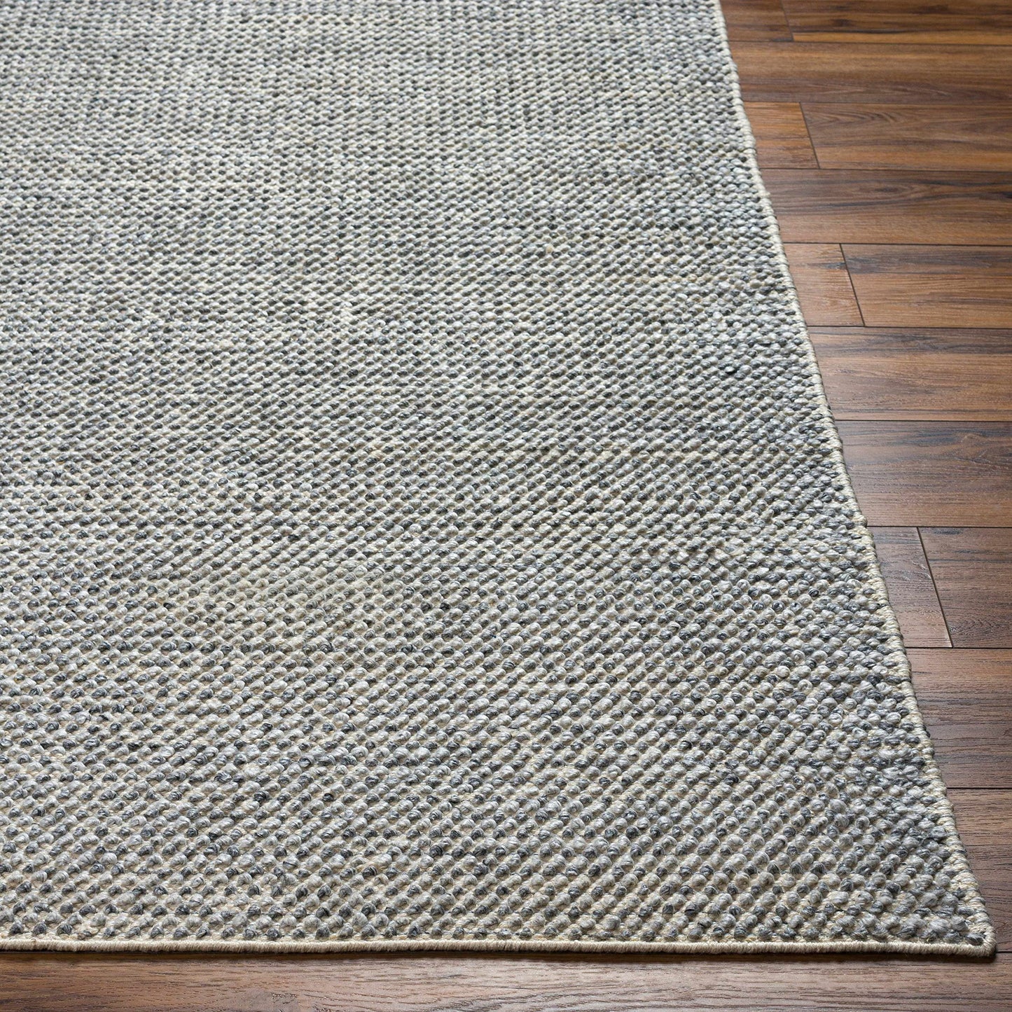 Hauteloom Kala Recycled Material Living Room, Bedroom Area Rug - Contemporary - Light Gray, Cloud Gray, Dark Gray - 2' x 3'