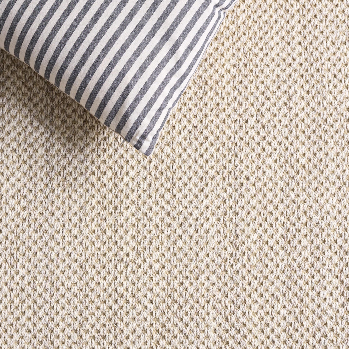 SAFAVIEH Area Rug 8x10 - Natural Fiber Collection - Large - Marble & Beige, Sisal, Woven Design with Border (NF143C)